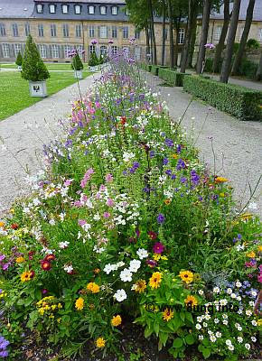 ✿ Bild des Tages: Bayreuth schwimmt im Blumenmeer | Kulturmagazin 8ung.info