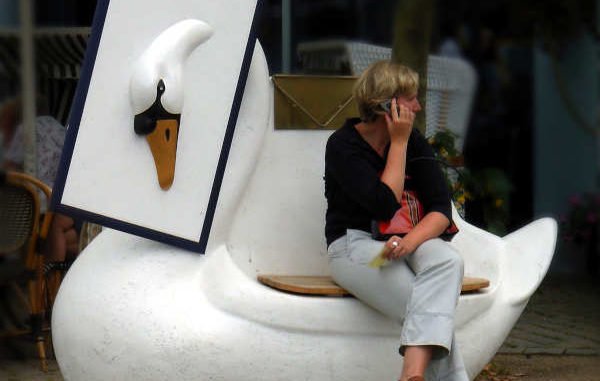 Schwan mit Sitzbank