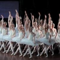 ♫ Ballett Schwanensee – Gesamtkunstwerk in der Stuttgarter Staatsoper