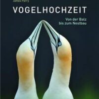 ✍ Naturbuch-Tipp: Vogelhochzeit – Von der Balz bis zum Nestbau