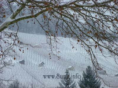 w.weinberge.metzingen.schnee.winter 006