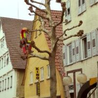 ☼ Bild des Tages: Ast-ab-Festival – wenn Männer in die Bäume klettern …