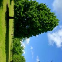 ☼ Bild des Tages: Wetter am 30. Mai