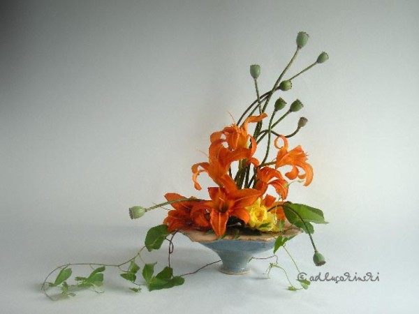 vo.mohn .lilie162a