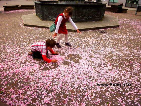 Spielende Kinder zwischen rosa Blütenblättern