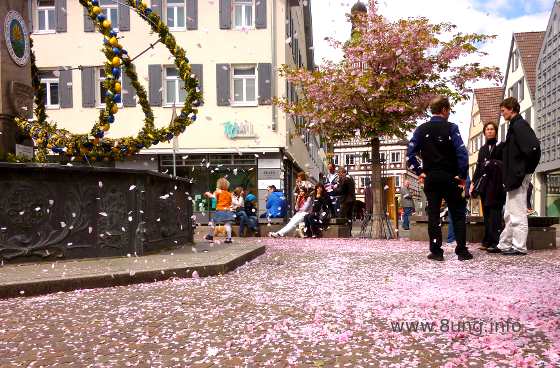 Rosa Blütenblätter am Osterbrunnen