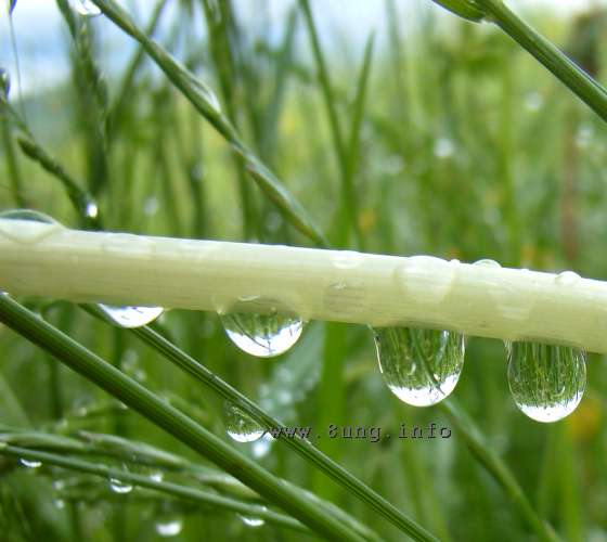 ☼ Wetter am 13. Mai 2014 – Servatius, der 3. Eisheilige | Kulturmagazin 8ung.info