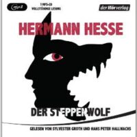 ✍ Hörbuchtipp: Steppenwolf von Hermann Hesse – aus der Distanz betrachtet