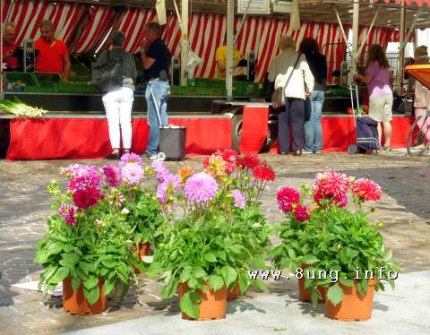 ☼ Wetter am 18. September 2014 - sonniger Herbstmarkt | Kulturmagazin 8ung.info