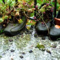 ☼ Vollmondwetter im Oktober 2014: Regen, ja – warm, ja