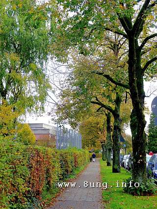 w.herbst.baum.allee (3)a