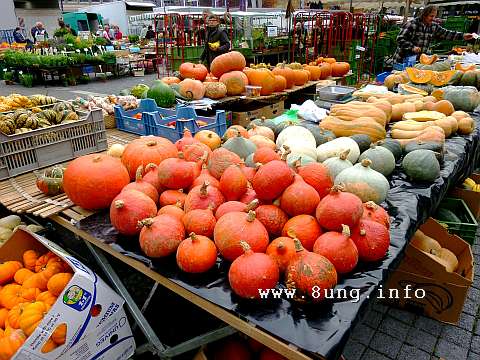 w.kuerbis.markt (3)