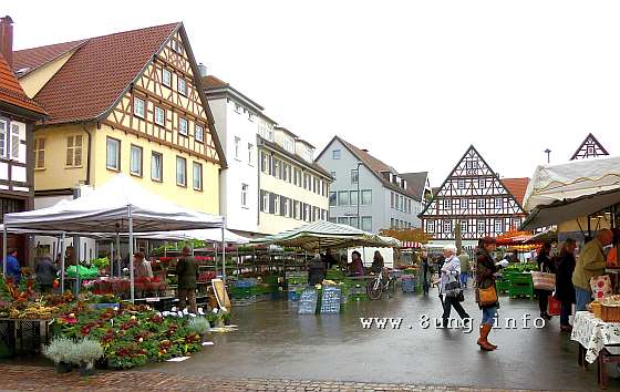 w.markt.herbst.regen (3)a