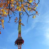 ☼ Wetter im November 2014: Bilderbuch-Wochenende