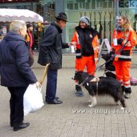 ☺Rettungshunde im Einsatz | Bild des Tages