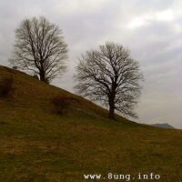 ☼ Wetter am 4. Dezember 2014 – 2 Tage vor Vollmond