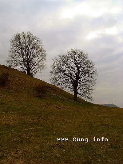 Meteorologischer Winteranfang: Wetter im Dezember 2014 - Berg, kahle Bäume, grauer Himmel