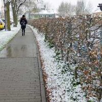 ☼ Wetterprognose März 2015 mittels der 12 Rauhnächte