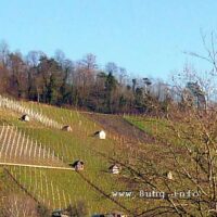 ☼ Wetter im Januar 2015 – Märzensonne
