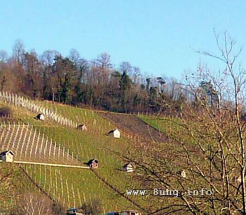 w.landschaft.bahn.sonne (1)a