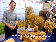  getreide, weizen, brot