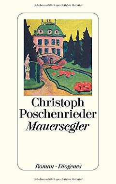 ✍ Buchtipp: Mauersegler - Knaller im letzten Lebensabschnitt | Kulturmagazin 8ung.info