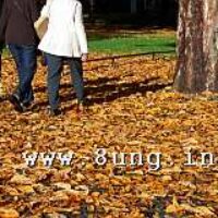 ☼ Wetter 1 Tag vor Vollmond im Oktober: Goldener Herbst