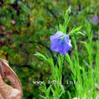 ☼ Wetter im Oktober 2015 – endlich Regen!