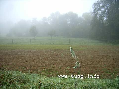 ☼ Wetter am Oktober-Vollmond 2015: Nebel bis Sonne | Kulturmagazin 8ung.info