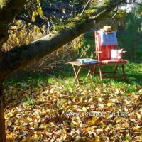 ☼ Wetter am 8. November 2015 – Büro im Garten