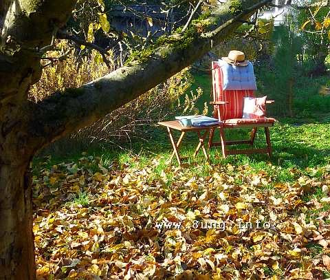 Wetter am 8. November 2015 – Büro im Garten