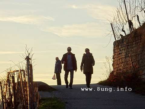 Spaziergänger im Esslinger Weinberg in der Abendsonne 