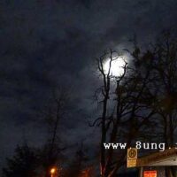 ☼ Wetter am Januar-Vollmond 2016: Schnee ade – Tauwetter