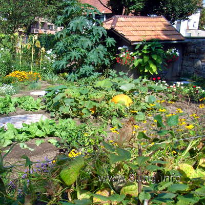 Bauerngarten mit Gemüse und Blumen 