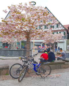 w.baum.bluete.leute (12)a