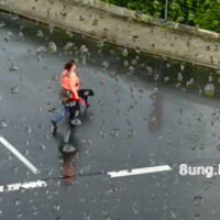 ☼ Fensterblick: Regen macht Pause – Hund geht Gassi