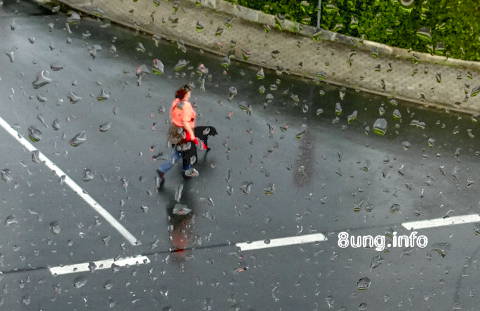 w.bayreuth 039.regen.hund.frau