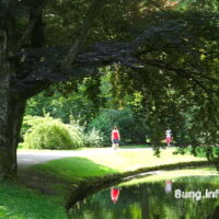 ☼ Wetter im Juli 2016: Sonne und Regen wechseln sich ab