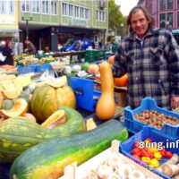☼ Herbstwetter im Oktober 2016: Kürbisse überschwemmen den Markt