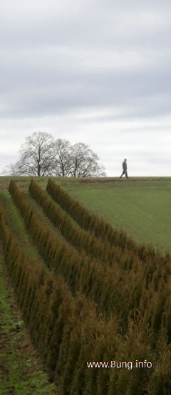 einsamer Wanderer