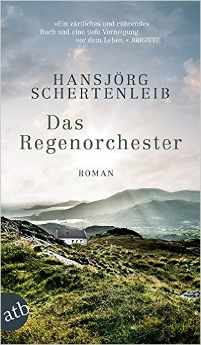 Cover: Das Regenorchester - Roman