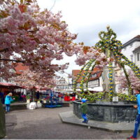 Bild des Tages: Gründonnerstag auf dem Kirchheimer Markt