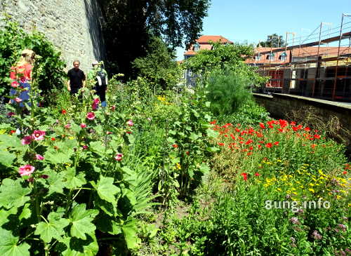 Domgarten in Erfurt