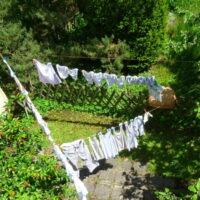 ☼ Wetter im Juni 2017 – nachts Regen – tags Sonne