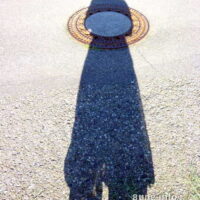 ♀ Bild des Tages: Schattenfrau mit weiblicher Rundung