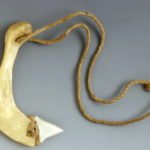 Messer, Hawai'i, 18. Jh., Museum of Archaeology and Anthropology, University of Cambridge