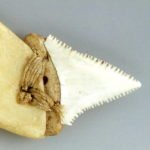 Ausschnitt: Messer, Hawai'i, 18. Jh., Museum of Archaeology and Anthropology, University of Cambridge