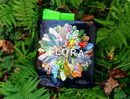 Buch "Flora" im grünen Farn