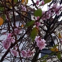☼ Wetter im Oktober 2017: Herbst oder Frühling?