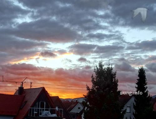 Morgenrot, graue Wolken, Hausdächer